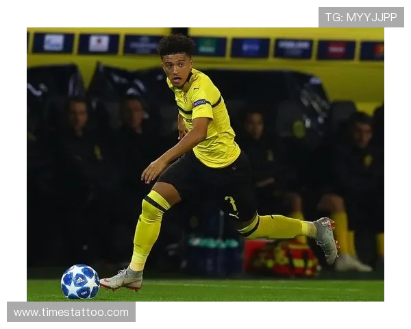 拜仁名宿皮萨罗造访成都蓉城主场 与甘锐互换队旗展现友谊